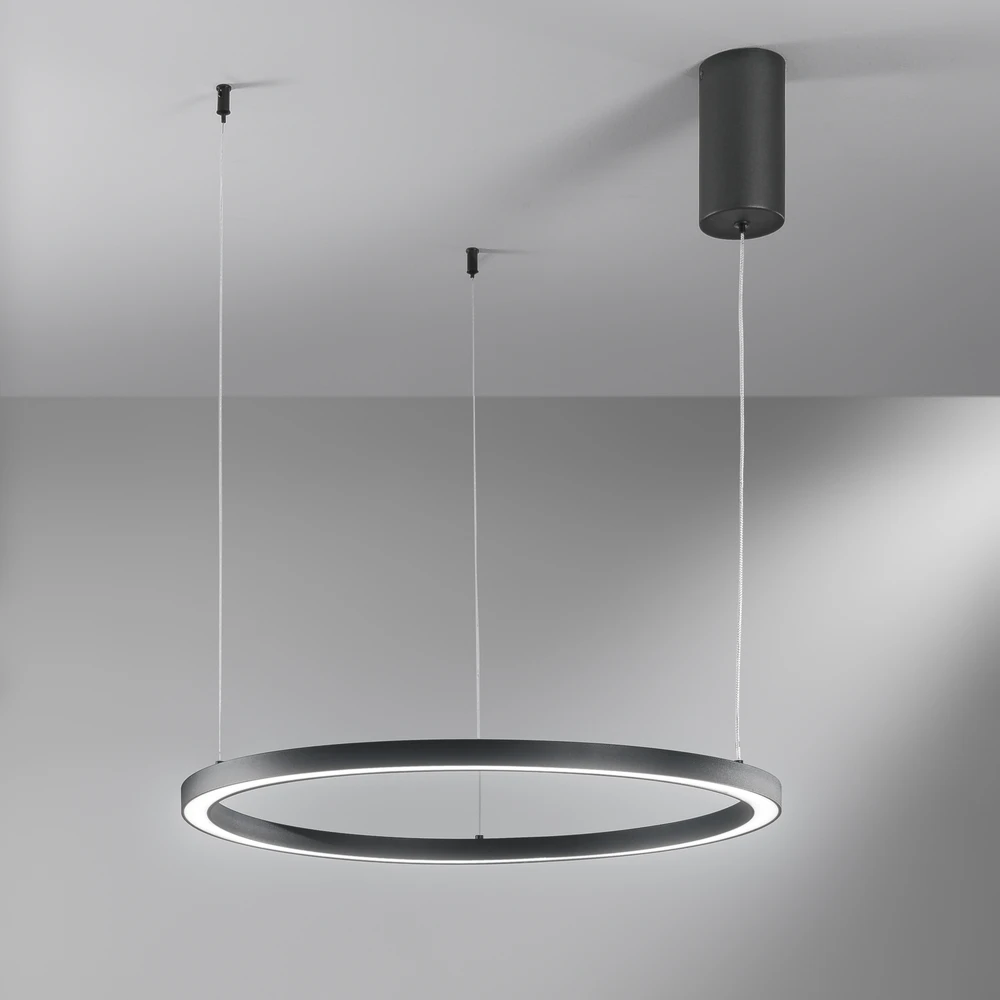 30W LED pakabinamas šviestuvas HOOP, juodas, CCT