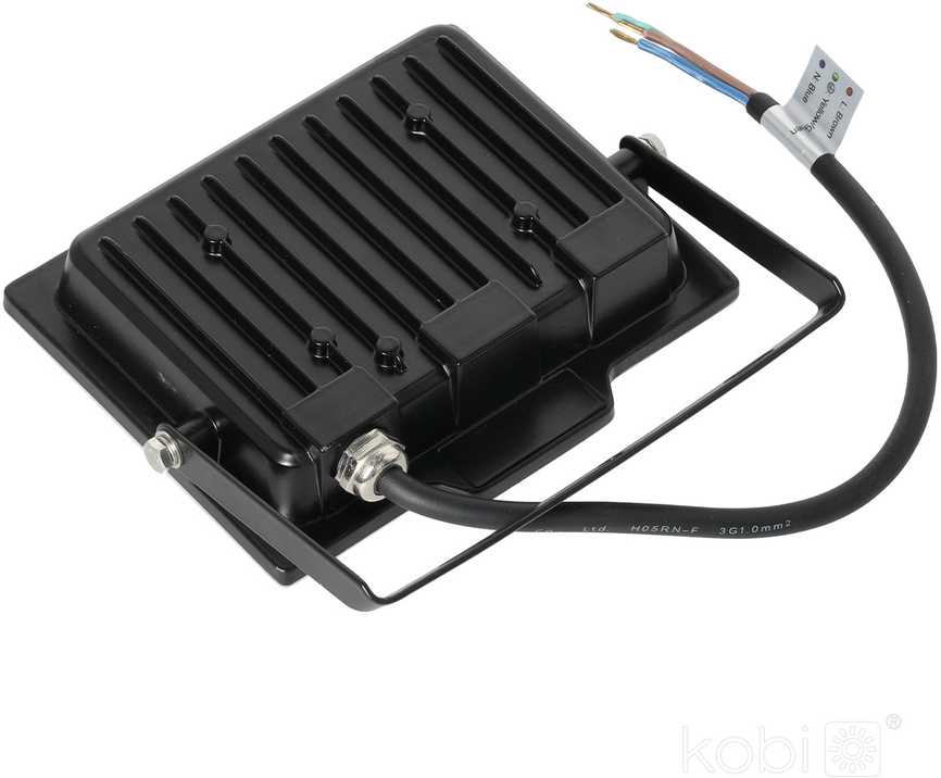30W LED prožektorius DELYO MHN, juodas, 6000K, IP65