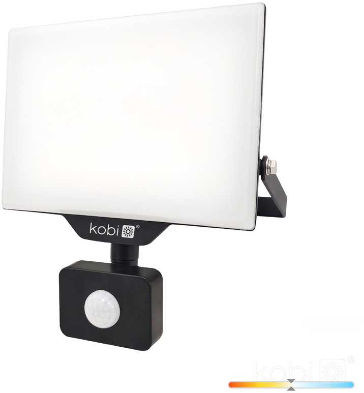 30W LED prožektorius su judesio davikliu DELYO MHNC, juodas, 4000K, IP54