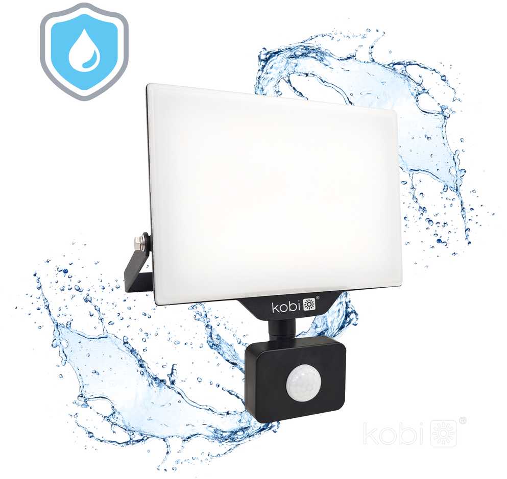 30W LED prožektorius su judesio davikliu DELYO MHNC, juodas, 4000K, IP54