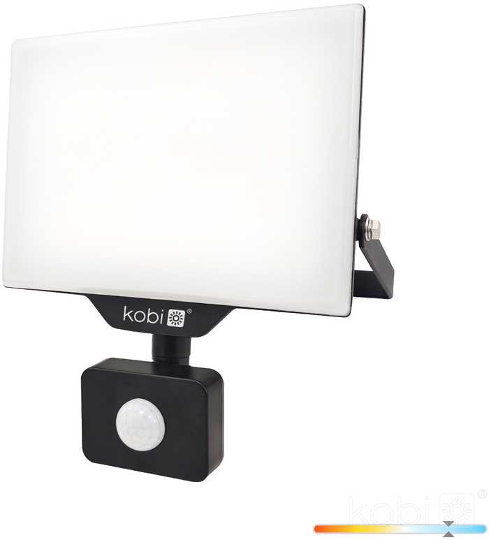 30W LED prožektorius su judesio davikliu DELYO MHNC, juodas, 6000K, IP54
