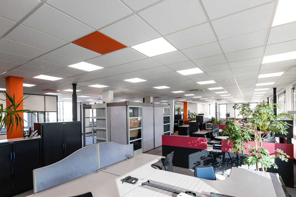 Ledvance 32W LED panelė PANEL 4IN1, 6500K