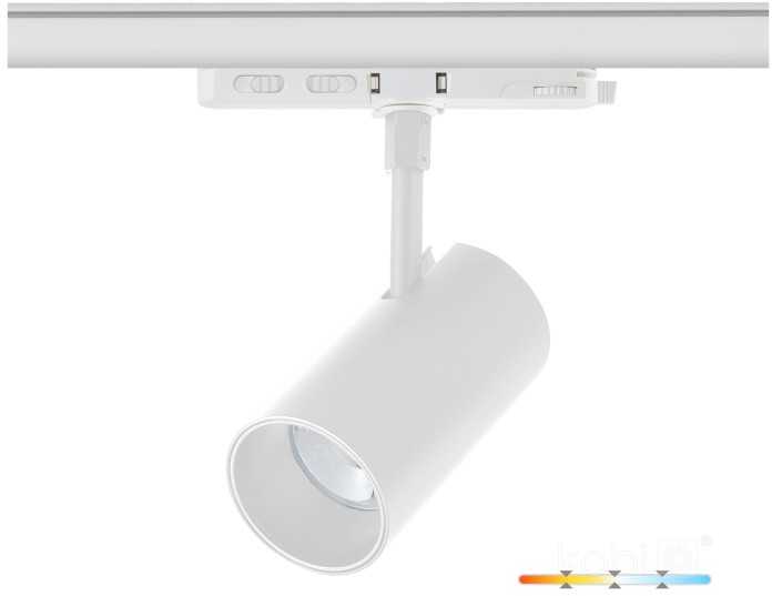 35W akcentinis šviestuvas į 3 fazių bėgelius LED NEXTRACK CORE, baltas, 3000/4000/5000K, 36°