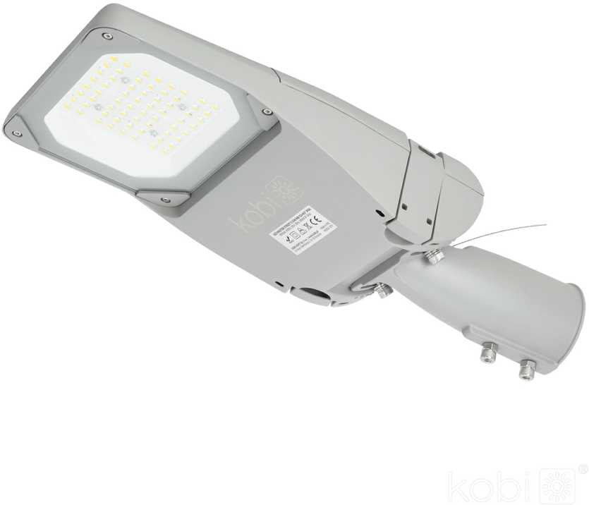 35W LED gatvės šviestuvas MASTER, pilkas, 4000K, dimeriuojamas