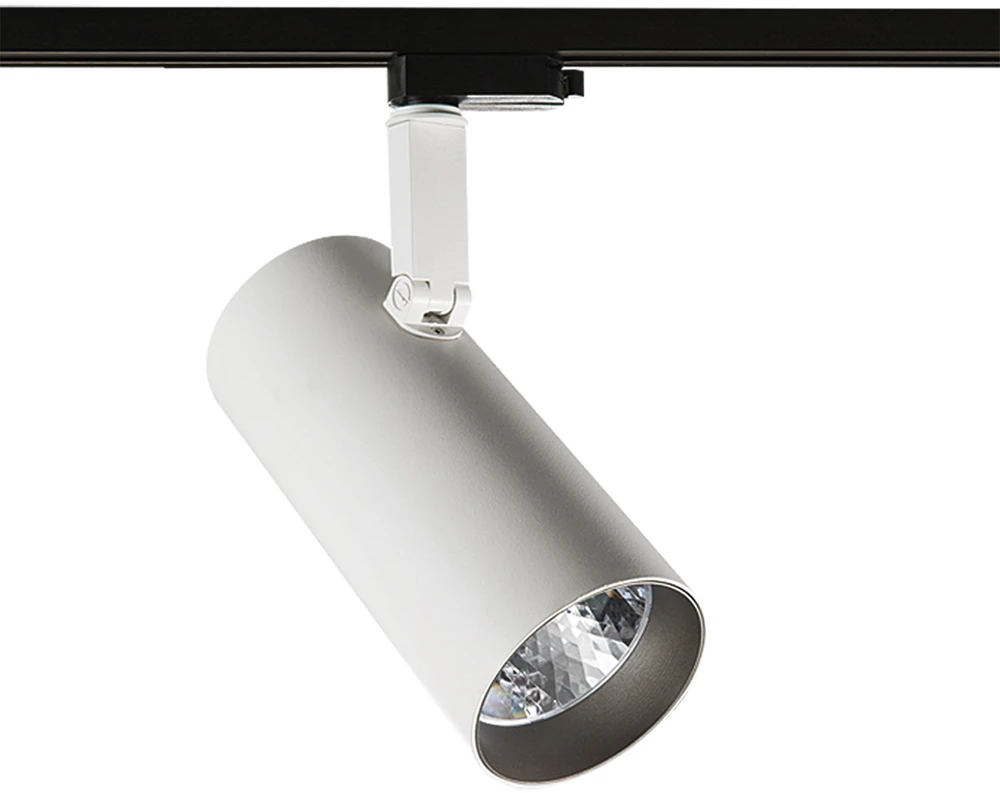 40W LED akcentinis vienfazis šviestuvas RUSSO L, baltos/pilkos sp., 4000K