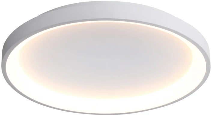 40W LED lubinis šviestuvas RADEN, baltas, 3000/4000/6000K