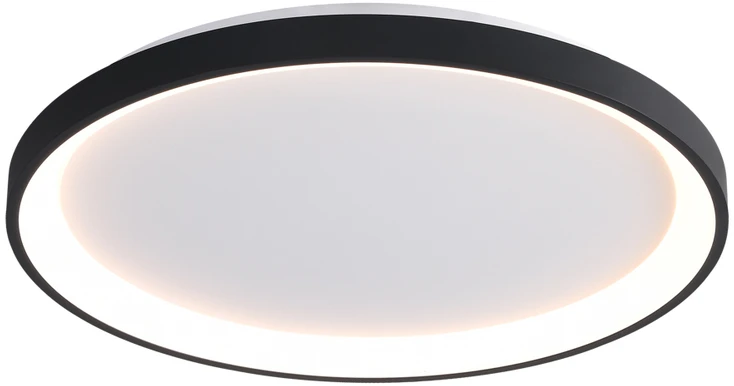 40W LED lubinis šviestuvas RADEN, juodos/baltos sp., 3000/4000/6000K