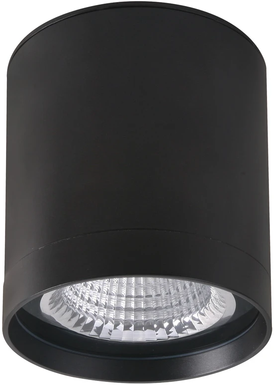 Lubinis šviestuvas 40W LED paviršinis fasado šviestuvas VETRA, juodas, 3000K, IP65