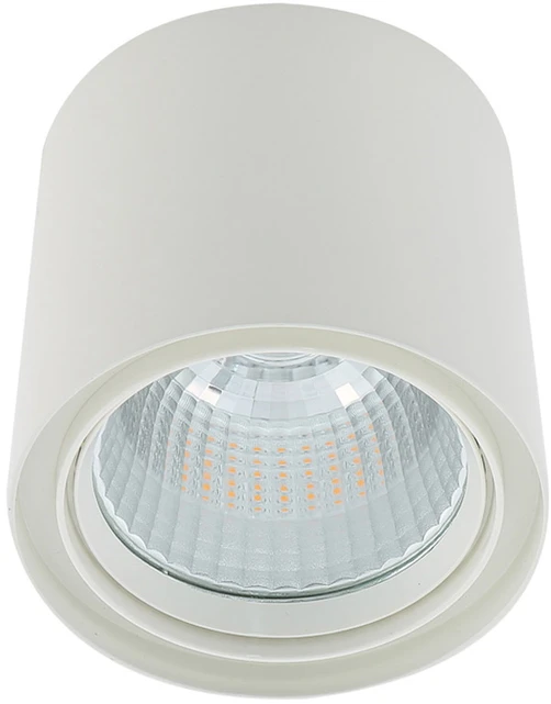 Lubinis šviestuvas 40W LED paviršinis šviestuvas LUNA, baltas, 3000K