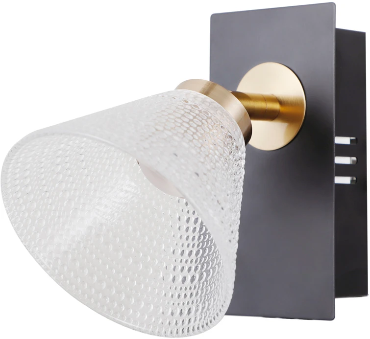 4W LED sieninis šviestuvas ORELLA, juodos/aukso sp./skaidrus, 3000K