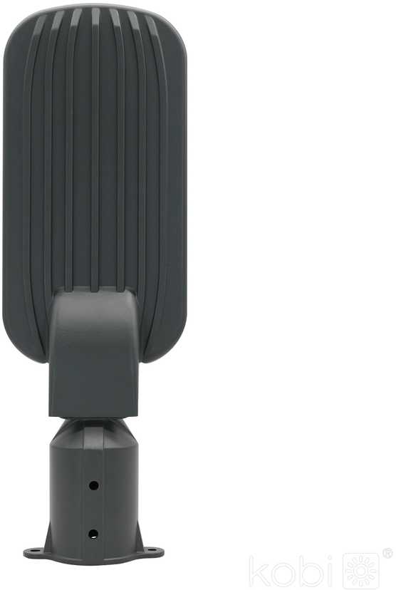 50W LED gatvės šviestuvas BRELUXO, pilkas, 4000K, IP65