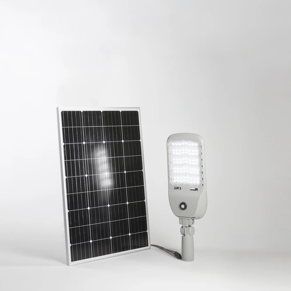 50W LED gatvės šviestuvas su saulės baterija ir judesio davikliu IPERION, sidabro sp., 4000K, IP65