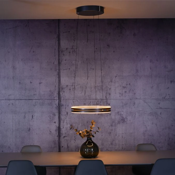 50W LED pakabinamas šviestuvas E-LOOP, pilkos sp., 2700-5000K, dimeriuojamas, 50cm, reguliuojamo aukščio