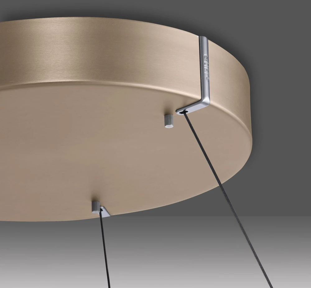 50W LED pakabinamas šviestuvas E-LOOP, žalvario sp., 2700-5000K, dimeriuojamas, 50cm, reguliuojamo aukščio