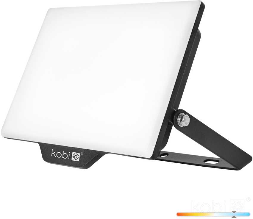 50W LED prožektorius DELYO MHN, juodas, 6000K, IP65
