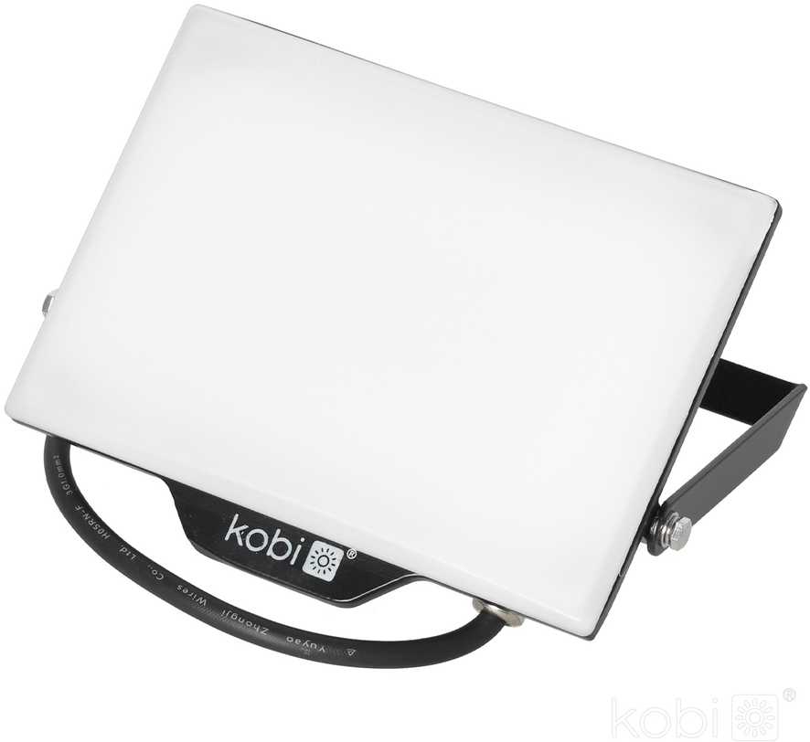 50W LED prožektorius DELYO MHN, juodas, 6000K, IP65