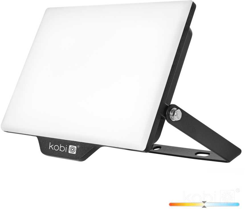 50W LED prožektorius DELYO MHN, juodas, 4000K, IP65
