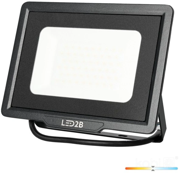 50W LED prožektorius MH, juodas, 4000K