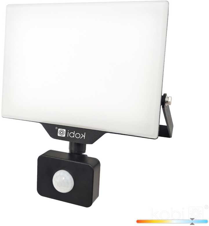 50W LED prožektorius su judesio davikliu DELYO MHNC, juodas, 6000K, IP54