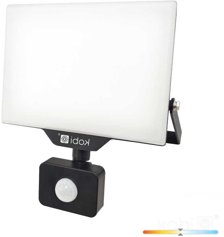 50W LED prožektorius su judesio davikliu DELYO MHNC, juodas, 4000K, IP54