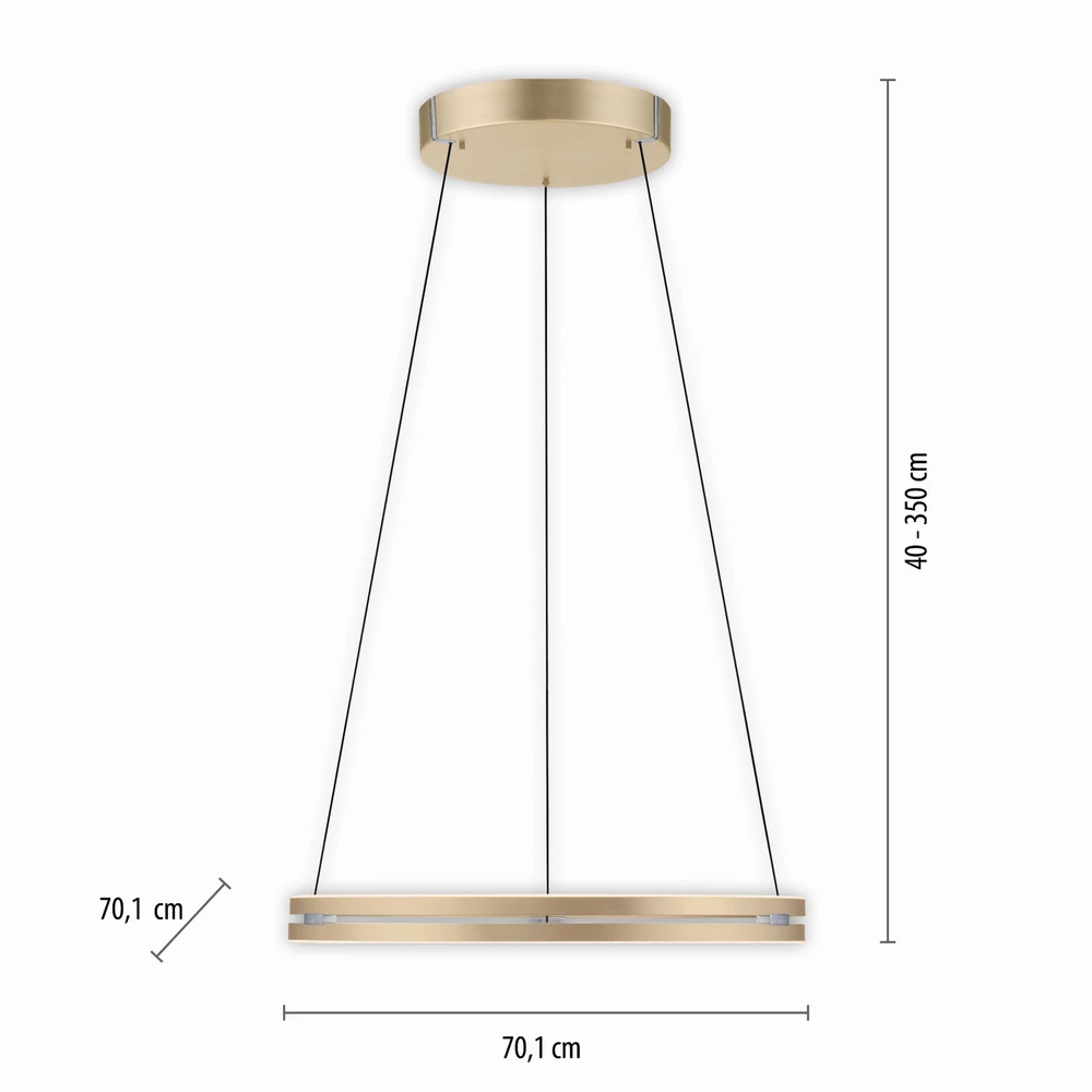 53W LED pakabinamas šviestuvas E-LOOP, žalvario sp., 2700-5000K, dimeriuojamas, 70cm, reguliuojamo aukščio