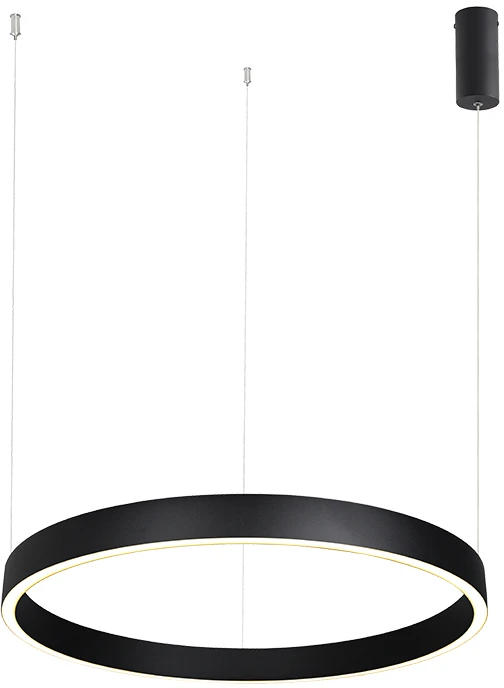 59W LED pakabinamas šviestuvas, juodas, 3000K, dimeriuojamas, šviečia į viršų ir į apačią, 25365