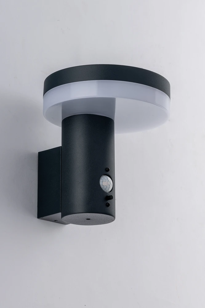 Sieninis šviestuvas 5W LED sieninis fasado šviestuvas su saulės baterija ir judesio davikliu ENYA, antracito sp., 4000K, IP44