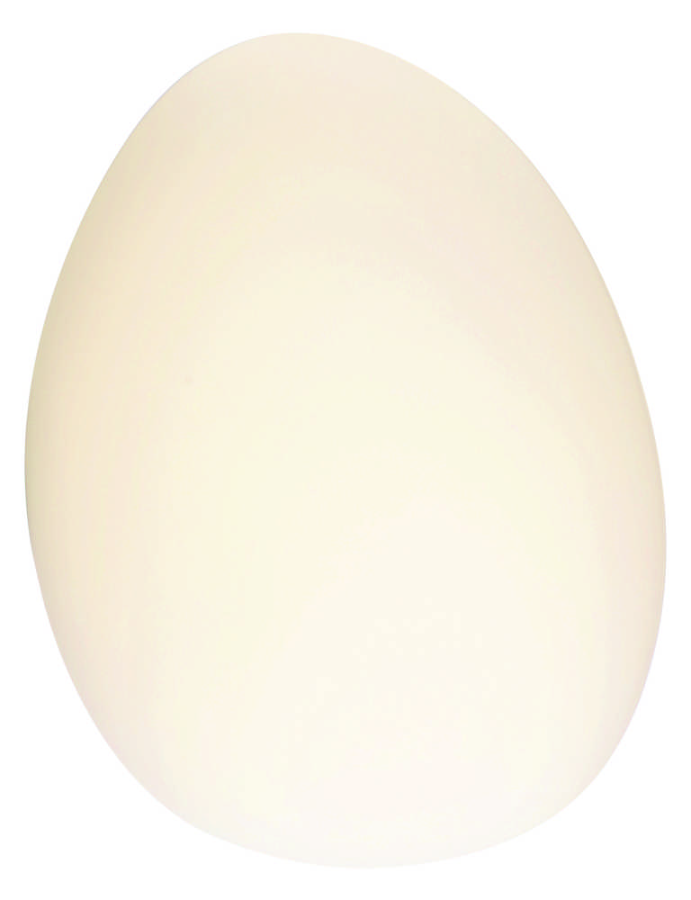 5W LED sieninis šviestuvas, baltas, 3000K, 20136