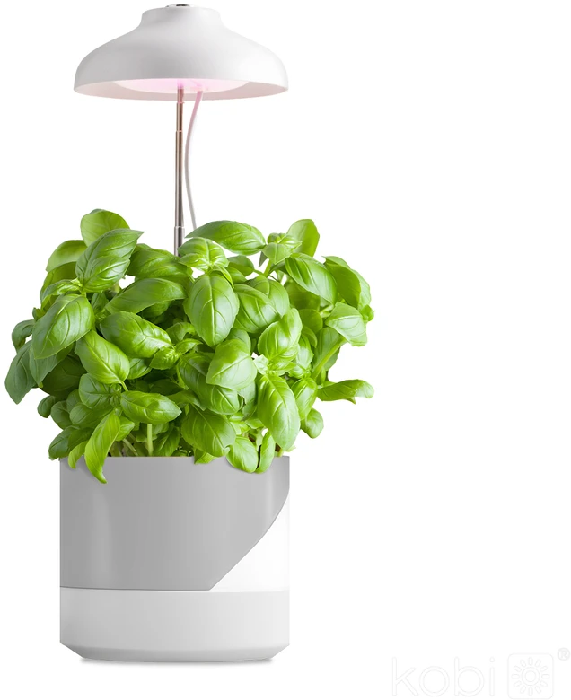 5W LED stalo šviestuvas augalų auginimui VERDI, baltas, 3200K