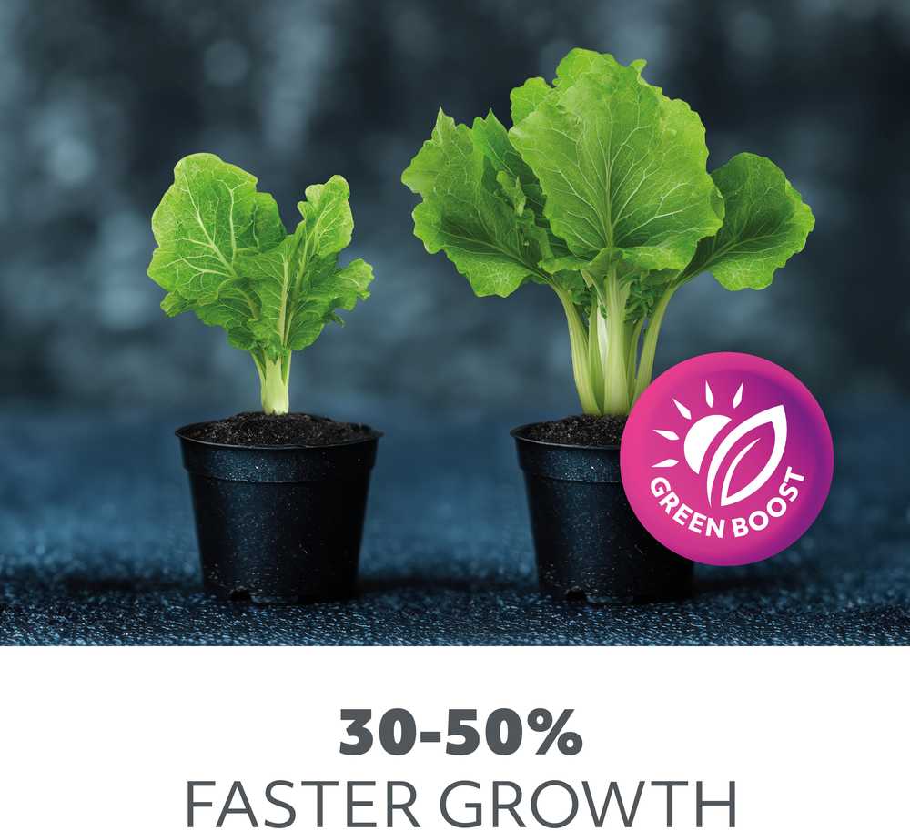 5W LED stalo šviestuvas augalų auginimui VERDI, baltas, 3200K