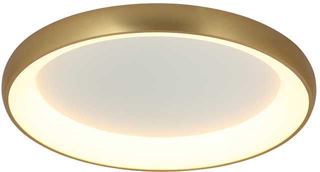 Lubinis šviestuvas 60W LED paviršinis šviestuvas, aukso sp., 3000K, dimeriuojamas, 2058