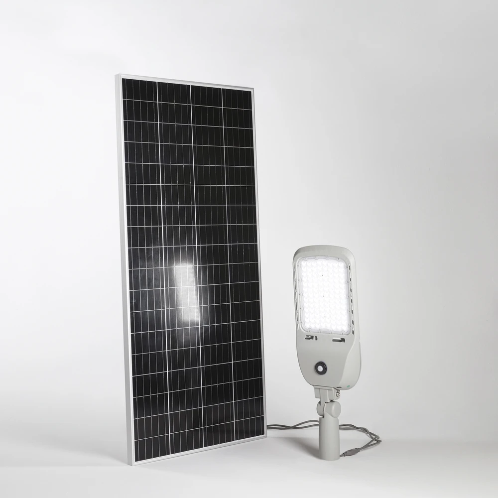 74W LED gatvės šviestuvas su saulės baterija ir judesio davikliu IPERION, sidabro sp., 4000K, IP65