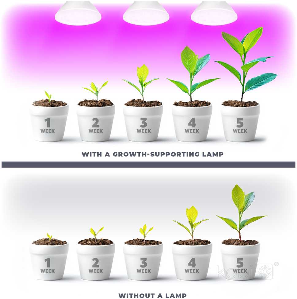7W LED augalų auginimo lemputė PLANTY, E27, balta, 1200K