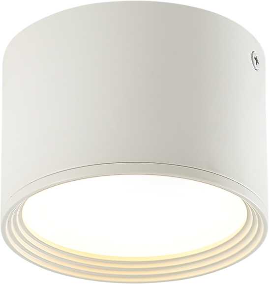 Lubinis šviestuvas 8W LED paviršinis lubų šviestuvas, baltas, 3000K, 22133