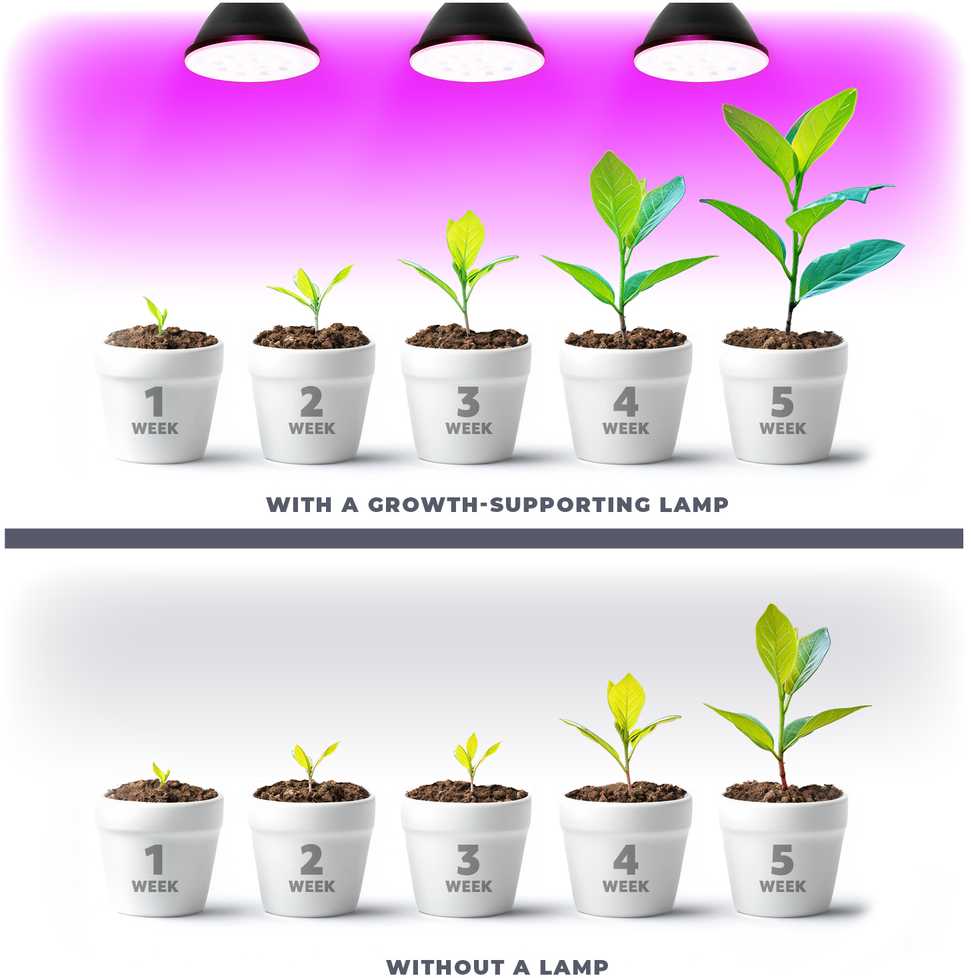 9W LED augalų auginimo lemputė PLANTY, E27, juoda, 1200K