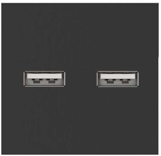 Dvigubas USB lizdas, juodos spalvos, su įkrovimu