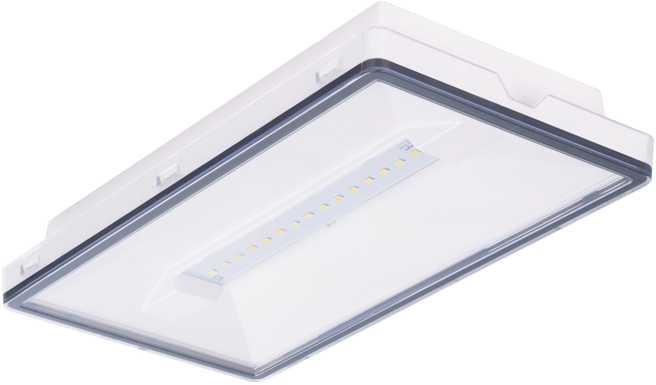 1,5W avarinis šviestuvas VELLA SC 125 NM 1H MT IP65, baltas