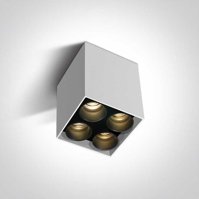 Lubinis šviestuvas 10W LED paviršinis šviestuvas, baltas, 3000K, 12406C/W/W