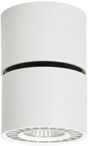 Italux Lubinis šviestuvas Herios CLN-97018-12W-L-3K