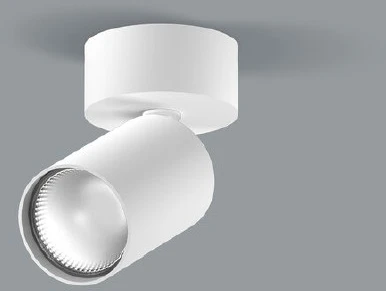 Lubinis šviestuvas 20W LED paviršinis šviestuvas DAISY 80, baltas, 3000K, 58°, DALI, matiniu dangteliu