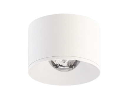 Lubinis šviestuvas 20W LED paviršinis šviestuvas PUCK L, baltas, 3000K