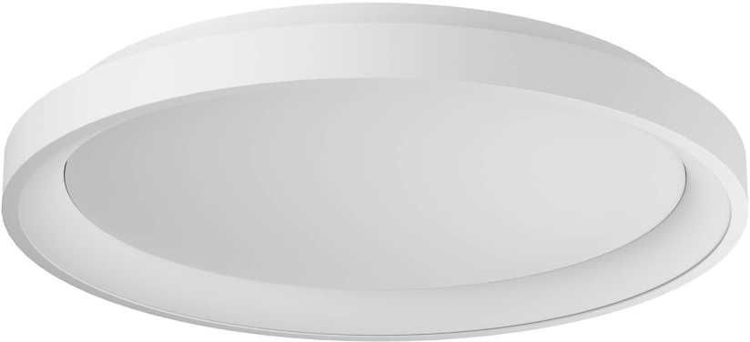 Lubinis šviestuvas 40W LED paviršinis šviestuvas ICONIC, baltas, 3000/4000K, dimeriuojamas, 01-3905