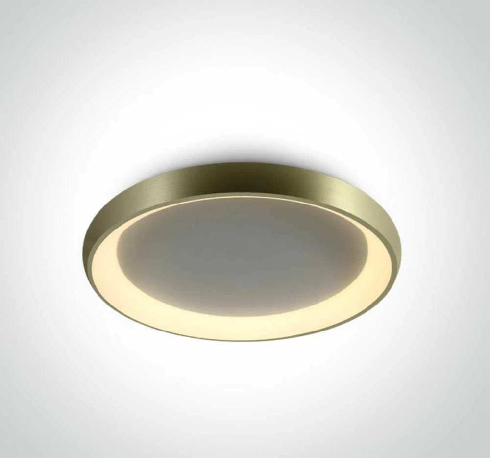 Lubinis šviestuvas 50W LED paviršinis šviestuvas, matinės žalvario sp., 3000K, IP20, 62144N/BBS/W