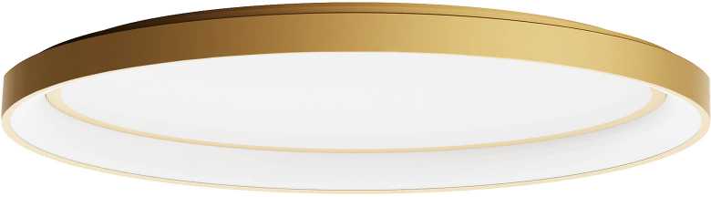 Lubinis šviestuvas 60W LED paviršinis šviestuvas NOBU, matinės aukso sp., 3000/4000K, dimeriuojamas, 01-3807
