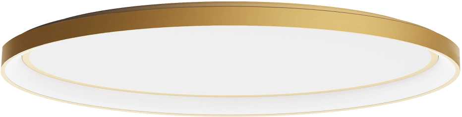 Lubinis šviestuvas 80W LED paviršinis šviestuvas NOBU, matinės aukso sp., 3000/4000K, dimeriuojamas, 01-3810