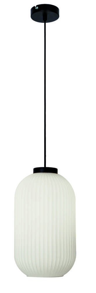Pakabinamas šviestuvas ASTOR, E27, juodos/baltos sp., 4253100