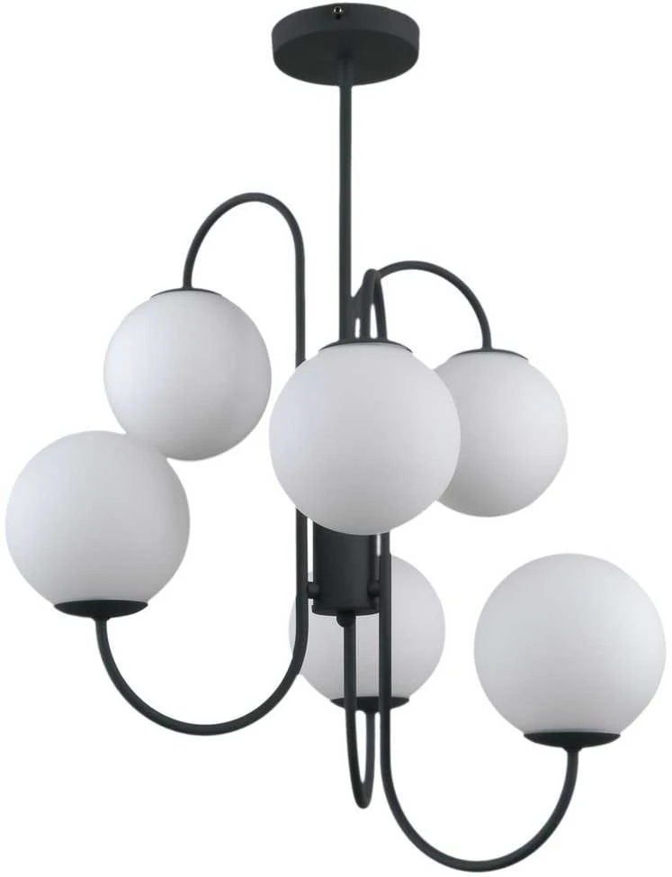 Italux Pakabinamas šviestuvas PND-5500-6-BK