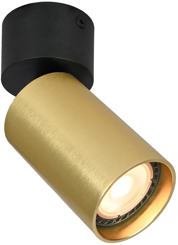Italux Lubinis šviestuvas Nesto SPL-23436-1R-BK-BRSS
