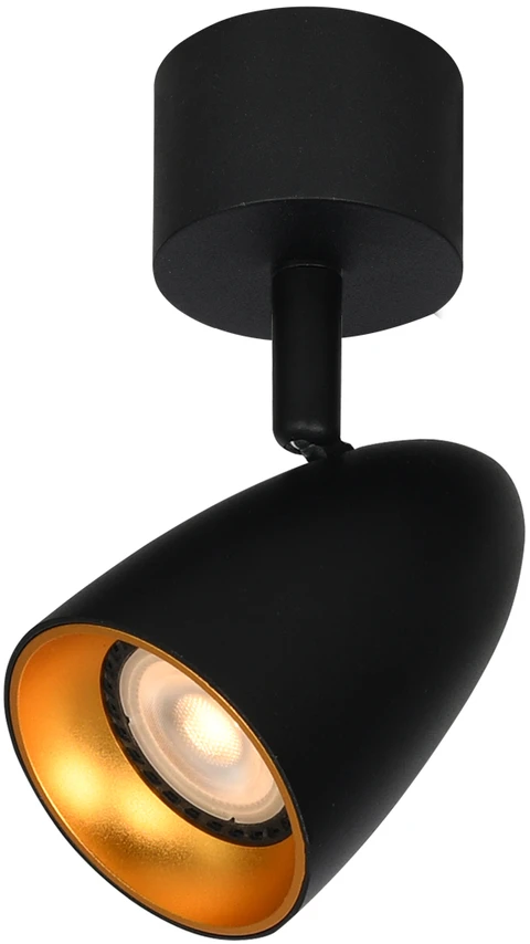 Italux Lubinis šviestuvas Tino SPL-36748-1R-BK-GD