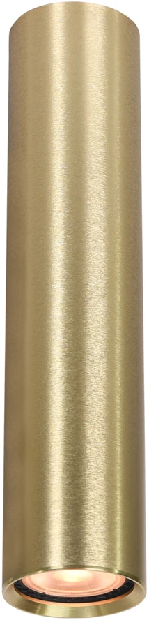Italux Lubinis šviestuvas Lopus CLN-48930-L-GD
